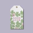 Бірка "Good luck" UN-02-T фото
