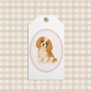 Бірка &laquo;Леді&raquo; Pet-09-T фото